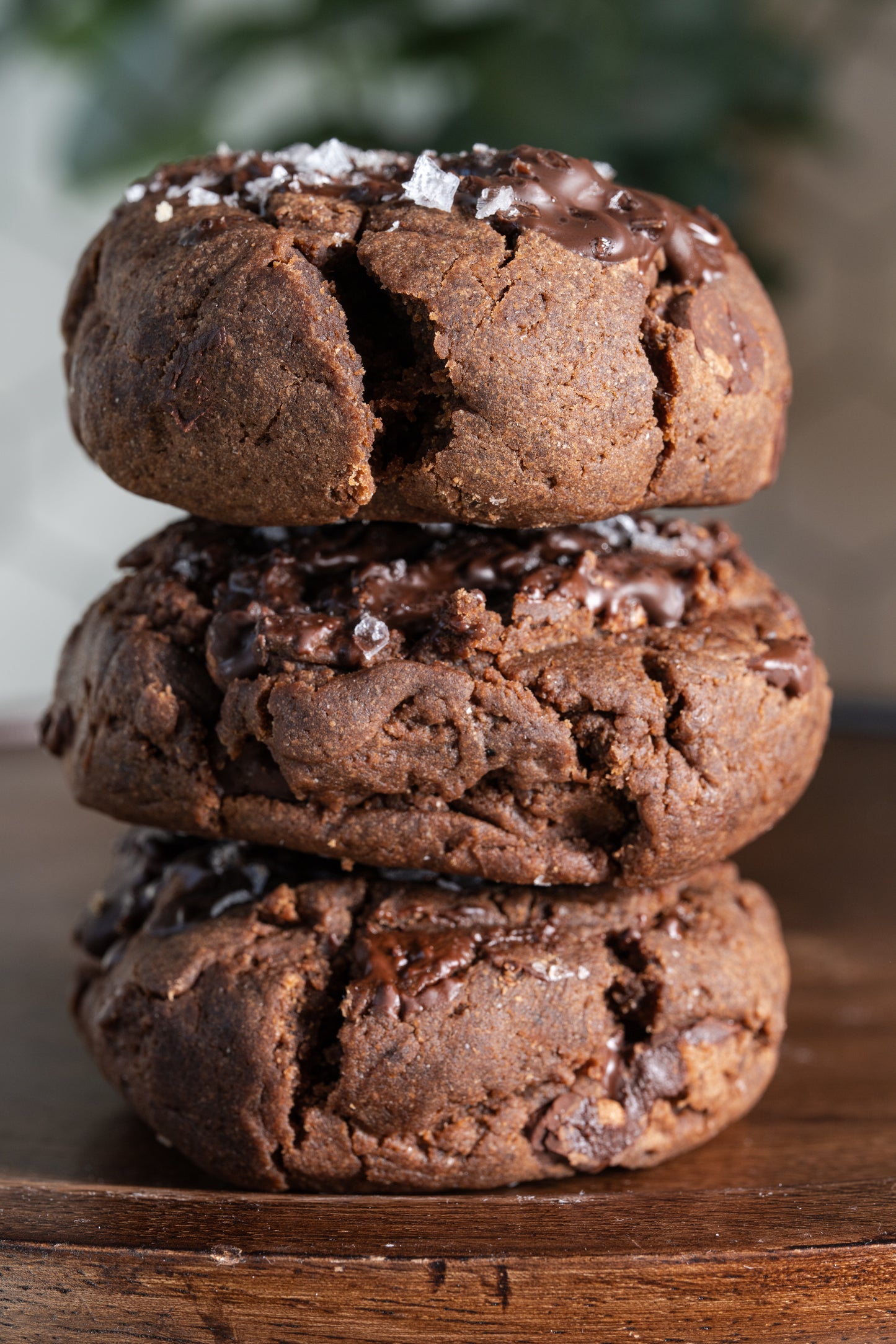 Vegan Double Chocolate Marshmallow